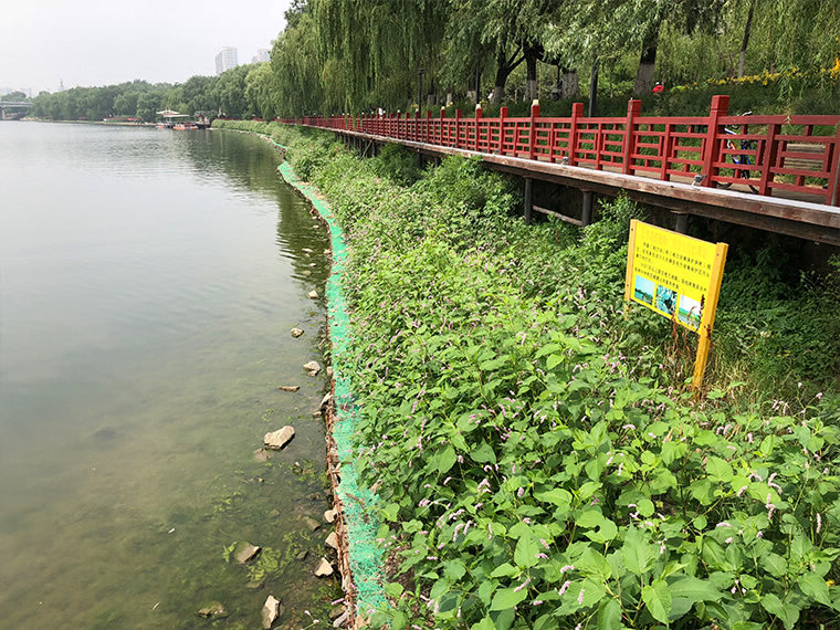 渾河右岸長(zhǎng)青橋--勝利橋岸坎修復(fù)工程